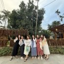 투어코코넛