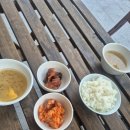 내일식당 | 선유도 애견동반 맛집 내일식당