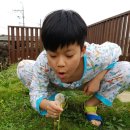제주도 독채팬션 하도하도1929 솔직후기