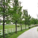 하얀목장 이미지