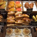 따끈따끈베이커리 | [대구 동성로] 따따베 태빵 덕후 다 모여 - 따끈따끈 베이커리 후기