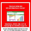서광 태양광발전소 이미지