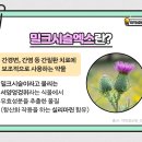 밀크브로 이미지