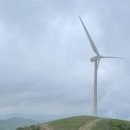 까치목장 이미지