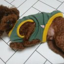 아름드리동물병원 이미지