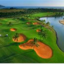 블루베이 이미지