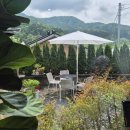 율리농장 이미지