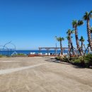 곽지몬스터캠핑 이미지