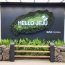 제주로와 | 제주도 : 220630~220701_제주로와, 섬오름해물라면 &amp; 제원칼집