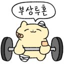 크로스핏 라온3 이미지