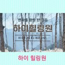재단법인 산림힐링재단 네이버블로그