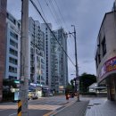 선유중학교 입구 이미지