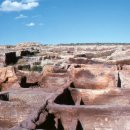 하비투스(Habitus) 이미지