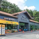 예술머리나라