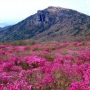 비슬산휴양림관리사무소 이미지