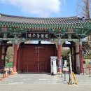 11650-11-68-3 | 전주동물원 후기｜벚꽃 시즌 필수 코스! 무료 유모차·드림랜드까지 총정리