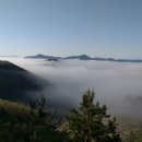 강촌버즈글램핑(강촌팜핑) 이미지