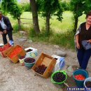 아라랏 Ararat
