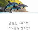 괌 돌핀크루즈와 스노쿨링 꿀조합! 2025년 여행자라면 꼭 알아야 할 포인트