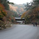 소선암자연휴양림 이미지