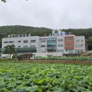 사회복지법인내원마하병원 이미지