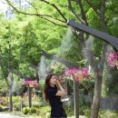 그늘막86 이미지