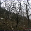 제2산록도로 광평교차로 이미지