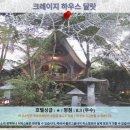 크레이지랩 | 달랏 여행 추천! 크레이지 하우스 호텔 후기: 동화 속 세상에 푹 빠지다