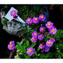 삽재농장 이미지