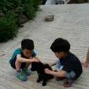 수락폭포 펜션 이미지