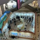 별숲마루 | [잠실 롯데월드몰 마루는 강쥐 팝업 후기] 마루의 숲속 베이커리에 놀러와 (예약, 위치, 굿즈)