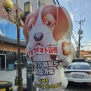 러브 애견 | 대구, 아이와 함께 가기 좋은 애견카페 '아이러브독도' 방문 후기!