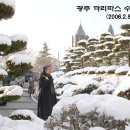 까리따스 이미지
