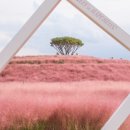 신소양체육공원 이미지