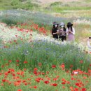 의령남강 이미지