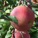 미루농원 이미지