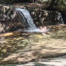 보훈주유소 이미지