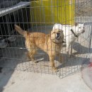 담양주유소 이미지