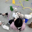 맡겨보개 네이버블로그