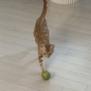 순식농장 이미지