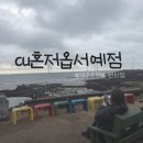신라대입구 CU편의점 앞 | 제주 cu혼저옵서예점 한림 오션뷰 1위! 가성비 끝판왕 내돈내산 야외테이블 후기