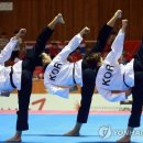 경희대왕호태권도
