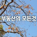 상주태양농원