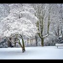 피아졸라 ...사계 중 겨울( Winter in buenos Aires ) / 비발디 사계 중 겨울 비교 이미지