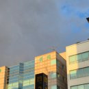 레드헤어 | 논현동 미용실에서 톤다운 레드 염색 후기 한올헤어