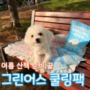 (주)그린어스 | 그린어스 쿨링팩 강아지 아이스팩 여름 외출 준비 끝