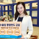 한도 이미지