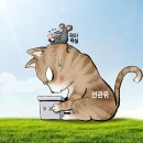 만평 이미지