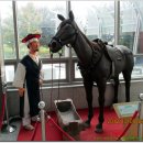 삼례역 앞 이미지