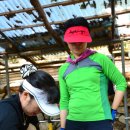 백조약수터 이미지